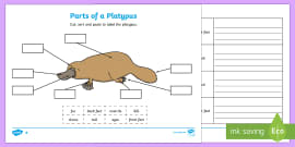 Strong Little Platypus - Story PowerPoint (teacher Made)