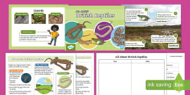 KS1 All About Mammals Fact File Activity Pack (teacher made)