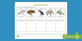 Classifying Animals Game - Animal Groups Game (teacher made)
