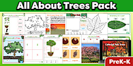 First Grade Tree Reading Passage Comprehension Worksheet