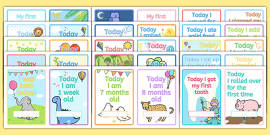 Baby Milestone Chart - Parents - Birth to Two (teacher made)