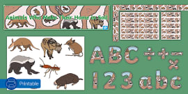 Soil Animals Grade 2 | Word Mat | Animals That Live In Soil