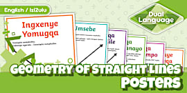 Naming Straight Lines in Geometry Activity Sheet