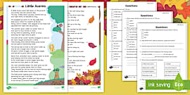 Year 1 Reading Comprehension Activity - KS1 - Twinkl