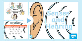 Parts Of The Ear PowerPoint (teacher Made) - Twinkl