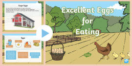 Egg Farming in Australia PowerPoint (teacher made) - Twinkl