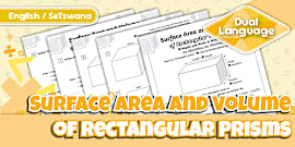 Surface Area and Volume of Rectangular Prisms Activity Sheet