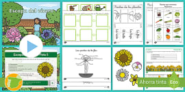 Ficha De Actividad: Las Partes De La Planta - Twinkl