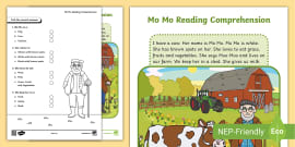 Reading Comprehension Worksheets (teacher Made) - Twinkl