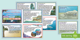 Ocean Habitat for Kids: Fun Facts About Marine Habitats