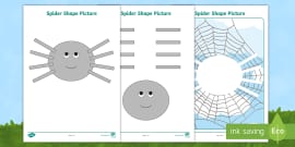 Diagram of a Spider with Labels - Body Parts Worksheets