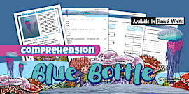 Gr4 English-Term4- Revision Booklet 1 of 3-Guide (CAPS Aligned)