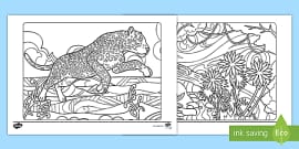 Wild Animal Pictures Mindfulness Colouring Sheets Pdf