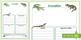 KS1 Crocodiles Fact File (teacher made) - Twinkl