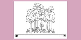 What Are The Layers Of The Rainforest Teaching Wiki What Are The Layers Of The Rainforest Teaching Wiki