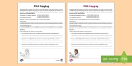 It’s in our DNA! Worksheet / Worksheet, worksheet