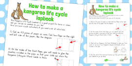 Kangaroo Life Cycle Poster Lifecycles Life Cycle Display