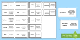 Health and Immunity Pairs Glossary Activity (teacher made)