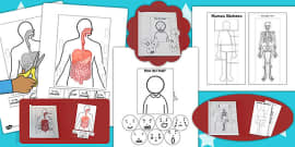 How Do I Feel Interactive Visual Aid (teacher made) - Twinkl