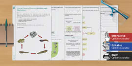 Flowcharts and Pseudocode Lesson 6 (teacher made) - Twinkl