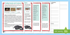 Guided Reading Skills Task Cards Romanian Translation