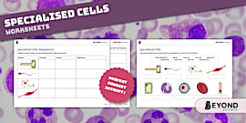 KS3 Cells and Organisation Exam Questions | Beyond