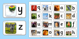 Alphabet Learning Cards - Set Of 26 5x7 Inch Animal Flash Cards For Classroom & Nursery Decor