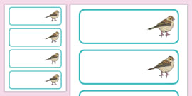 FREE! - 👉 Editable Drawer - Peg - Name Labels (Pirates)