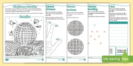 Duplication Warm-Up Drawing Exercises | Art Warm-Up Sketches