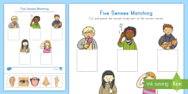 FREE! - Five Senses Display Posters - Smell, sight, sound, hearing, taste