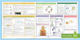 AQA Biology (Separate) GCSE Unit 1 Cell Biology Revision Mat - KS4 Revision