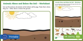 Animals Above and Below the Soil - Worksheet (teacher made)