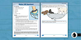 Blubber Experiment (teacher made) - Twinkl