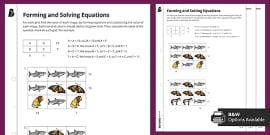 Solving Equations Differentiated Colour by Number