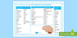 ocr gateway b1 checklist clipart