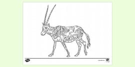 Arabian Oryx Worksheet / Worksheet (teacher made) - Twinkl