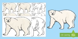 A2 Polar bear Cut-Outs - A2 Polar bear Cut-Outs - Twinkl