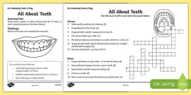 Teeth Labeling Worksheet Teacher Made