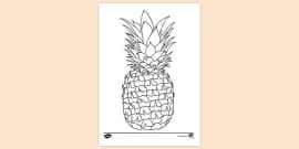 FREE! - Pineapple Fritter Colouring | Colouring Sheets