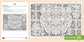 FREE! - Tiger Lily Colouring Sheet | Colouring Sheets