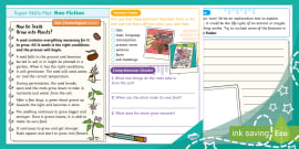 Explanation Text Examples | Writing Resources | Twinkl