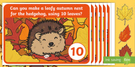 Autumn Themed Number Matching Activity (teacher made)