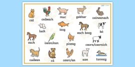 Scottish Gaelic Animal Word Mat