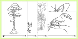 Colouring Pages Of Tropical Rainforest Animals For Kids