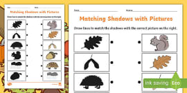 Light and Dark Shadow Matching Worksheet (teacher made)