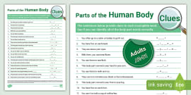 ESL Body Parts Activities: Adults Resource Pack - Twinkl