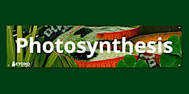 Cell Biology Display Banner | Science | Beyond