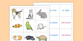 FREE! - Animal Names in French: Word Cards (teacher made)