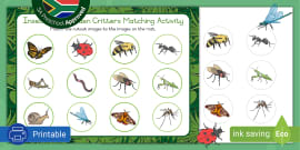 Insects and Garden Critters Word Cards (teacher made)