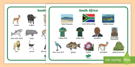 South Africa Map: Provinces (teacher Made) - Twinkl